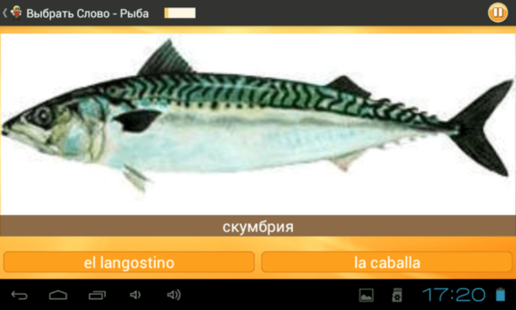 Учим Испанский 6000 Слов для Android