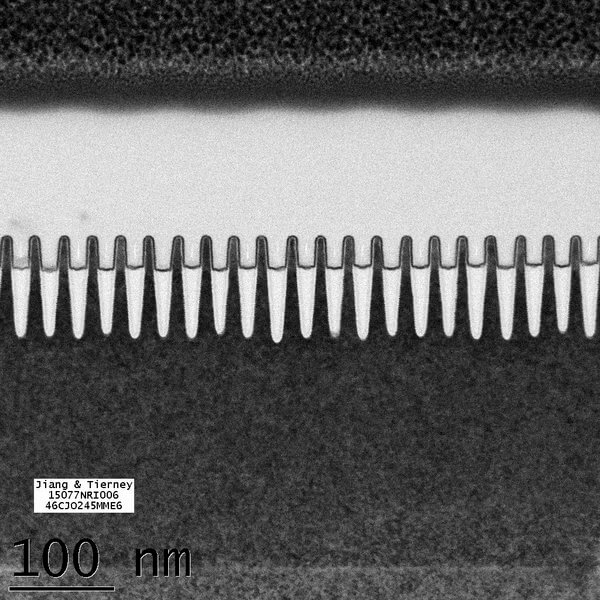 IBM-shows-new-7nm-working-chips