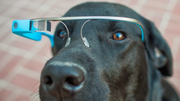 Гид по использованию носимых девайсов. Версия Google. Очки – не повод злиться. Фото.