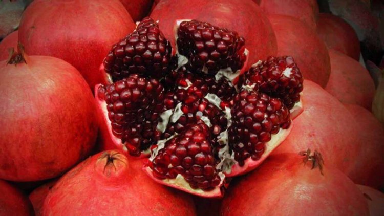 Аккумуляторы с десятикратной емкостью стали реальностью. Фото.