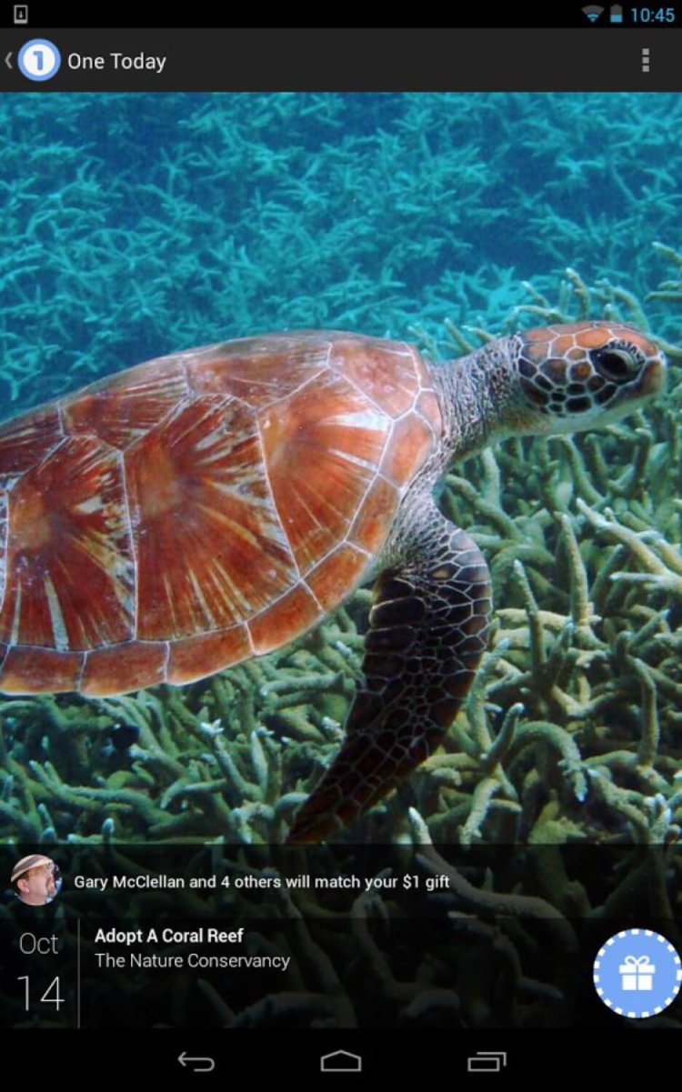 Четыре приложения от Google, о которых вы не знали. Google One Today. Четыре приложения от Google, о которых вы не знали. Google One Today. Фото.