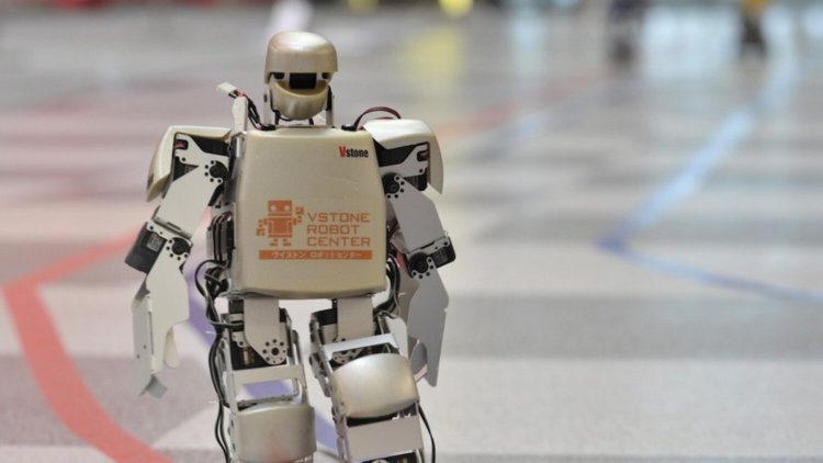 Роботы будут повсюду. Роботы будут повсюду. Фото.