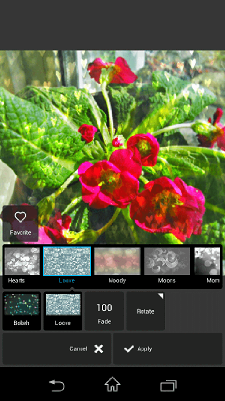 5 способов разнообразить свой Instagram. Больше боке. 5 способов разнообразить свой Instagram. Больше боке. Фото.
