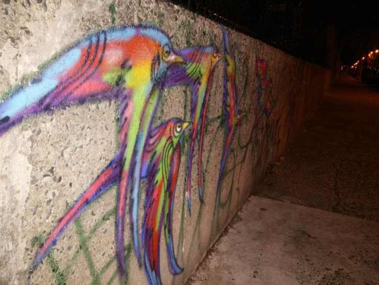 OnePlus One – туман рассеивается. Фото.