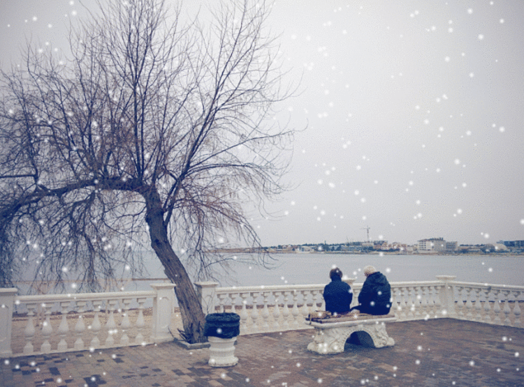 Почему «Google Фото» лучшая галерея на Android. Это автоматизировано. Почему «Google Фото» лучшая галерея на Android. Это автоматизировано. Фото.