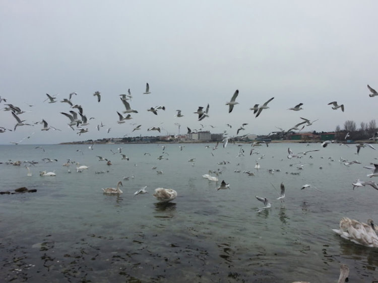 Почему «Google Фото» лучшая галерея на Android. Это автоматизировано. Почему «Google Фото» лучшая галерея на Android. Это автоматизировано. Фото.