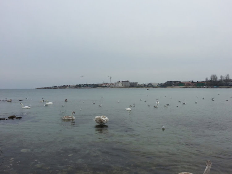 Почему «Google Фото» лучшая галерея на Android. Это автоматизировано. Почему «Google Фото» лучшая галерея на Android. Это автоматизировано. Фото.