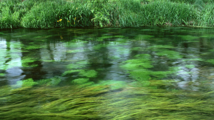 Сравнение камерофонов Samsung Galaxy K Zoom, Galaxy S4 Zoom и Galaxy Cam 2. Фото.