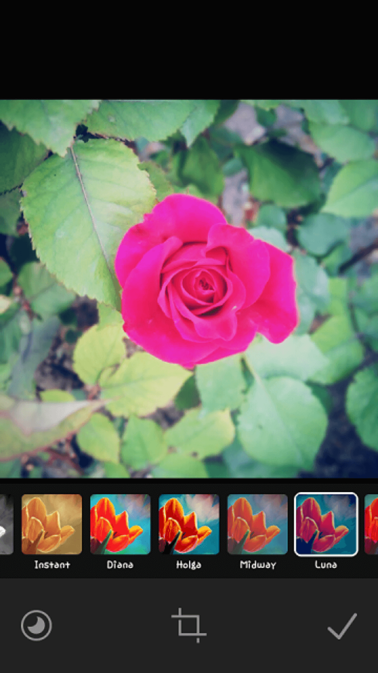 4 приложения, которые могут заменить Instagram. Потребность в коммуникации — Path. Фото.