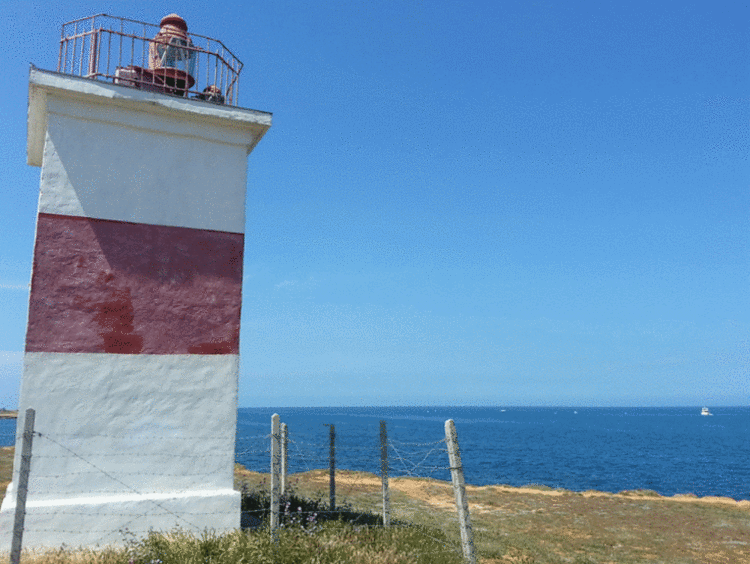 Почему «Google Фото» лучшая галерея на Android. Это автоматизировано. Почему «Google Фото» лучшая галерея на Android. Это автоматизировано. Фото.