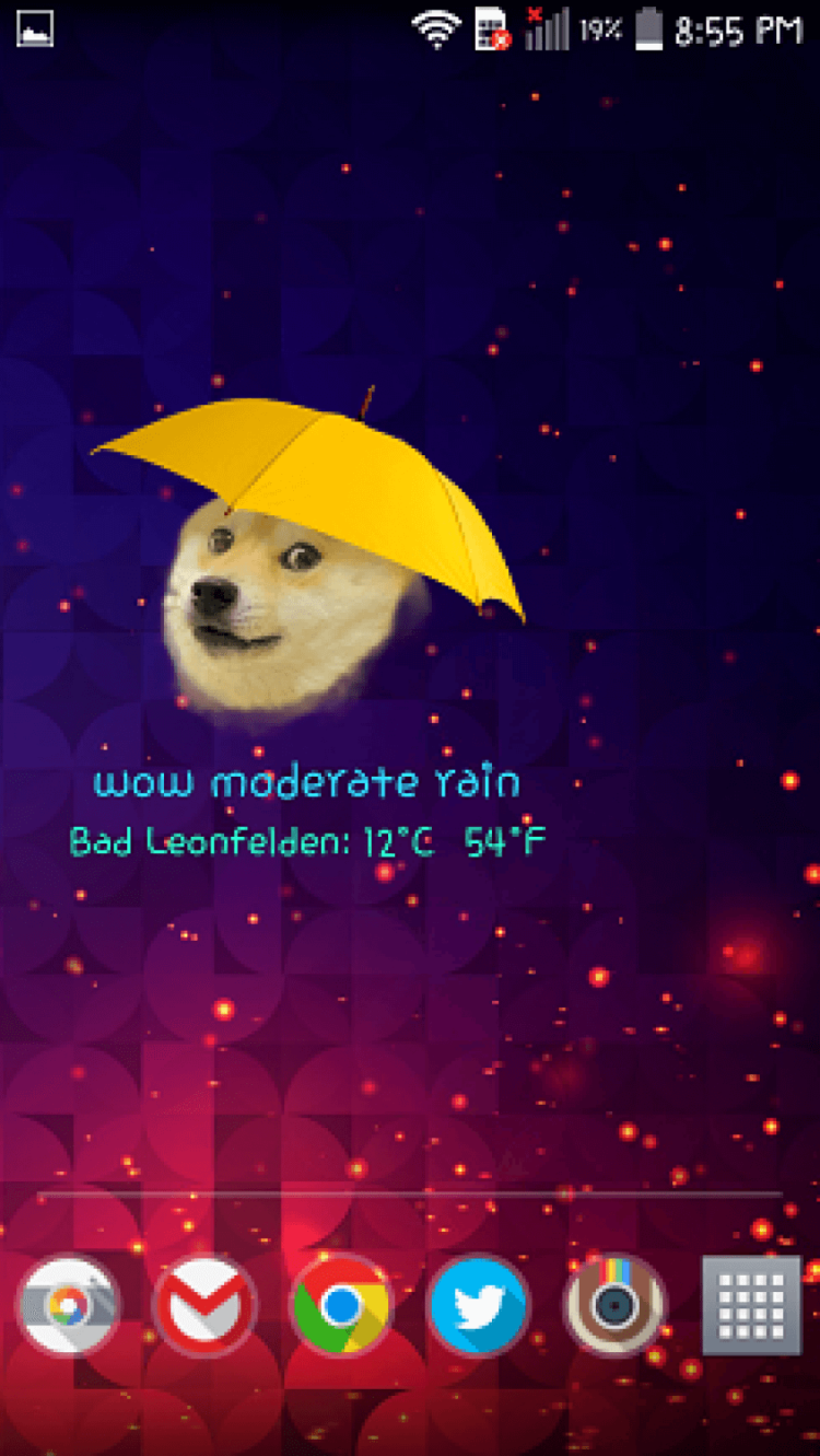 Забавные виджеты прогноза погоды для Android. Подозрительный пес. Фото.