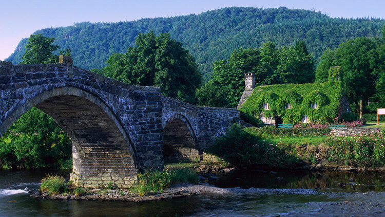 Android в 13 раз привлекательнее для умного дома, чем Apple и Samsung. Фото.