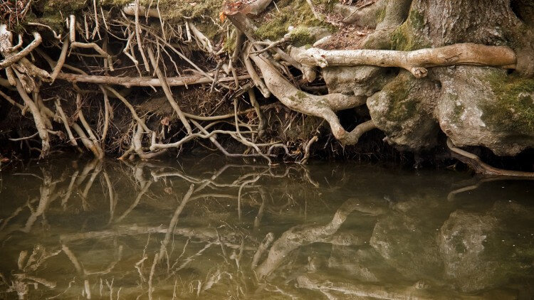 4 причины не рутировать Android-устройство. 4. Проблемы с обновлениями. 4 причины не рутировать Android-устройство. 4. Проблемы с обновлениями. Фото.