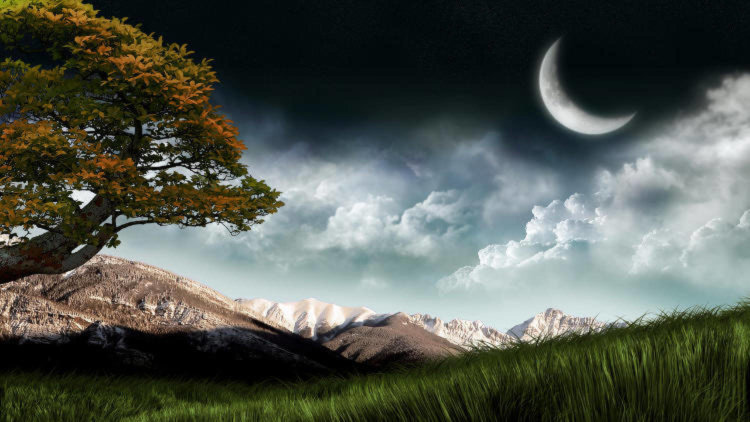 4K-дисплеи смартфонов: бесполезная инновация или технология будущего? 4K-дисплеи смартфонов: бесполезная инновация или технология будущего? Фото.