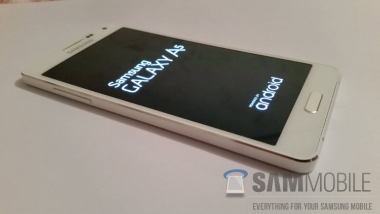 Наследник Galaxy Alpha на «живых» фото. Наследник Galaxy Alpha на «живых» фото. Фото.