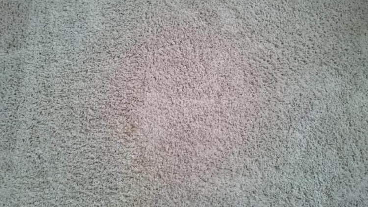 Владельцы Sony Xperia Z3 и Z3 Compact жалуются на проблемы с камерой. Владельцы Sony Xperia Z3 и Z3 Compact жалуются на проблемы с камерой. Фото.