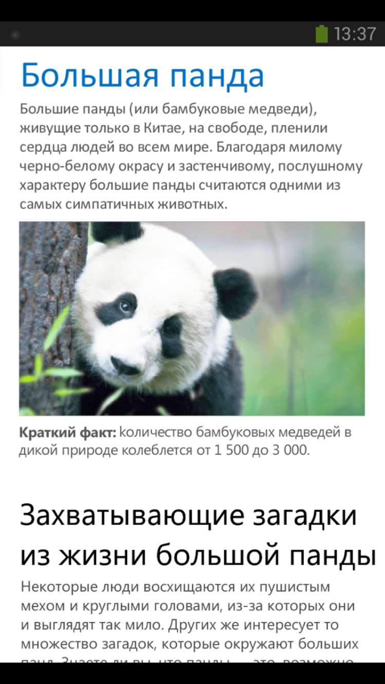 Лучшие офисные приложения для вашего смартфона. Microsoft Office Mobile. Лучшие офисные приложения для вашего смартфона. Microsoft Office Mobile. Фото.