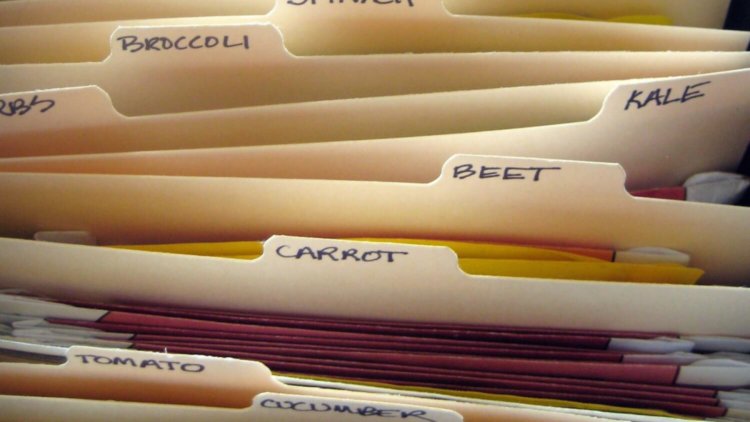 Файловые менеджеры: какой выбрать? Фото.