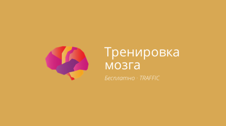 Тренировка мозга — заставляем серое вещество работать. Тренировка мозга — заставляем серое вещество работать. Фото.