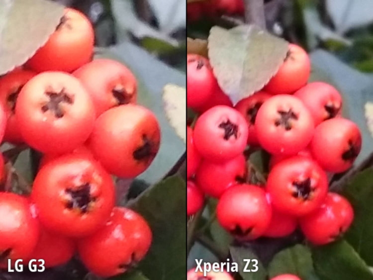 Cравнение камер LG G3 и Sony Xperia Z3. Четвертый сюжет. Cравнение камер LG G3 и Sony Xperia Z3. Четвертый сюжет. Фото.