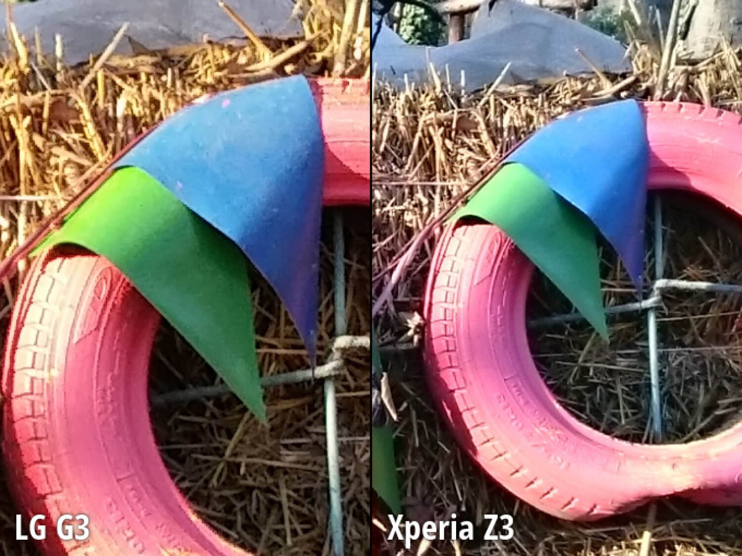 Cравнение камер LG G3 и Sony Xperia Z3. Второй сюжет. Фото.
