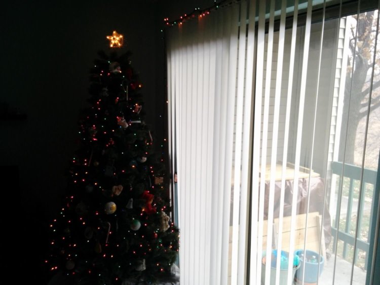 Новые API в Android Lollipop увеличат возможности камер. Фото.