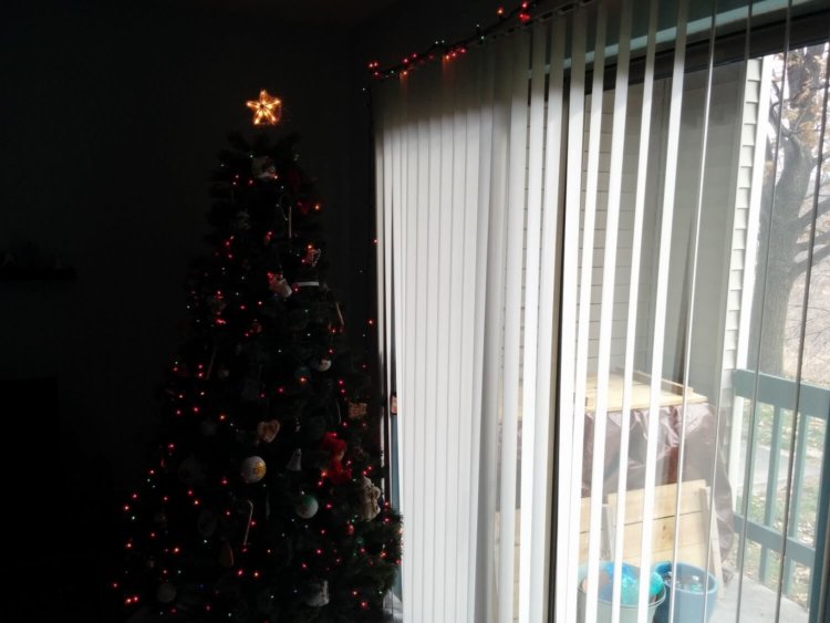 Новые API в Android Lollipop увеличат возможности камер. Фото.