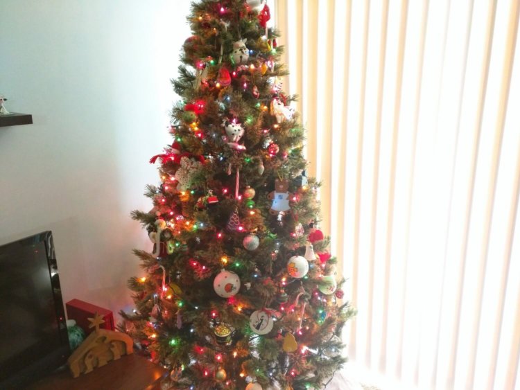 Новые API в Android Lollipop увеличат возможности камер. Фото.