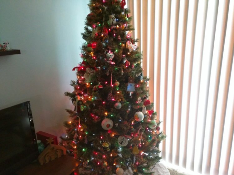 Новые API в Android Lollipop увеличат возможности камер. Фото.