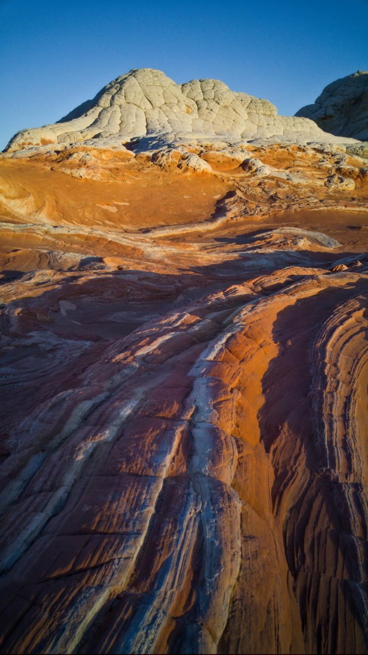 Камера LG G4 рождена для новых побед. Камера LG G4 рождена для новых побед. Фото.