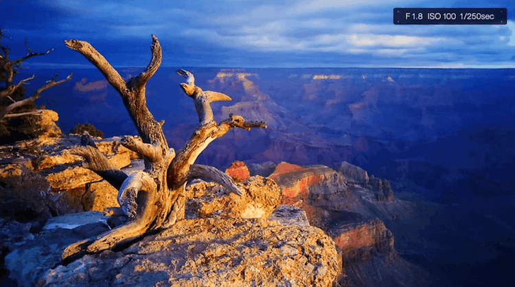 13 советов, как делать отличные снимки на Android. 5. С крупным планом снимки выходят лучше. Фото.