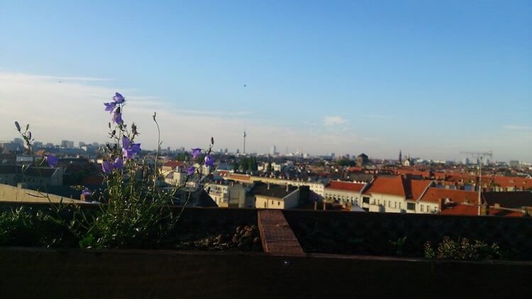 13 советов, как делать отличные снимки на Android. 7. Линия горизонта должна быть прямой. Фото.