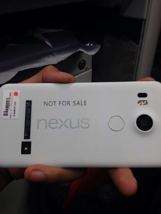 Первое «живое» фото Nexus 5 (2015), а также сравнение габаритов с другими смартфонами. Фото.