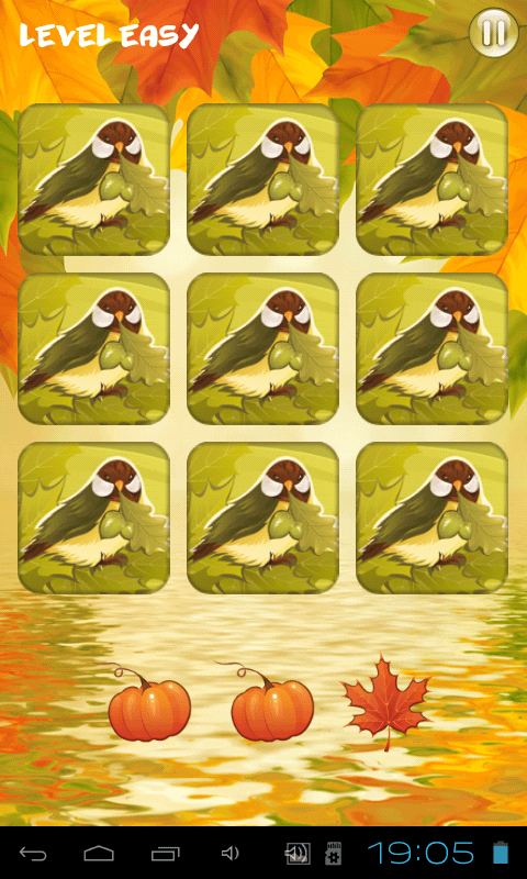 Осенние картинки, развивающие зрительную память ребенка. Фото.