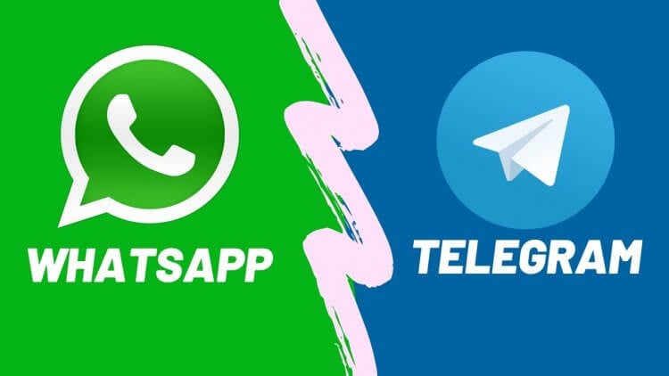 Telegram vs. WhatsApp: что лучше? Телеграм или WhatsApp. Что лучше. Фото.