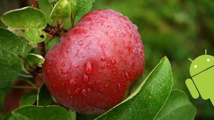 iOS 9 заставила пользователя iPhone присмотреться к Android. iOS 9 заставила пользователя iPhone присмотреться к Android. Фото.