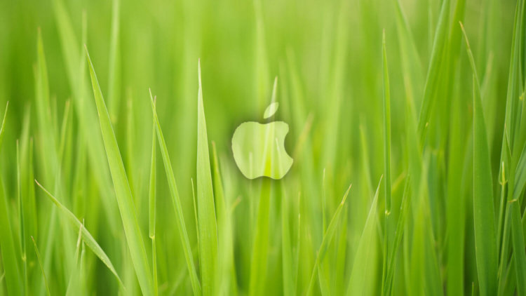 iOS 9 заставила пользователя iPhone присмотреться к Android. iOS 9 заставила пользователя iPhone присмотреться к Android. Фото.