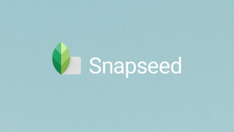 Как редактировать фотографии в формате RAW в приложении Snapseed. Как редактировать фотографии в формате RAW в приложении Snapseed. Фото.