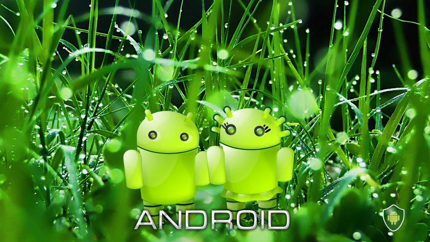 Новости Android, выпуск #46. О появлении Android-телефона от Энди Рубина пишут в Сети. Фото.