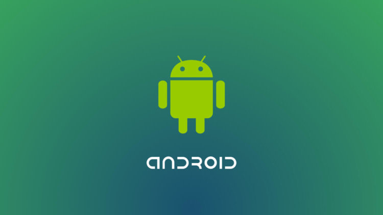 О появлении Android-телефона от Энди Рубина пишут в Сети. Фото.