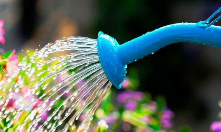 Waterbot напомнит вам о необходимости полить свои растения. Фото.