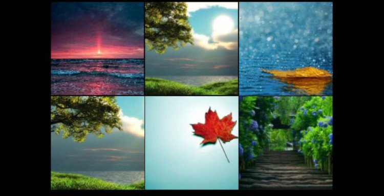 Как начинающему пользователю сжать фото? Фото.