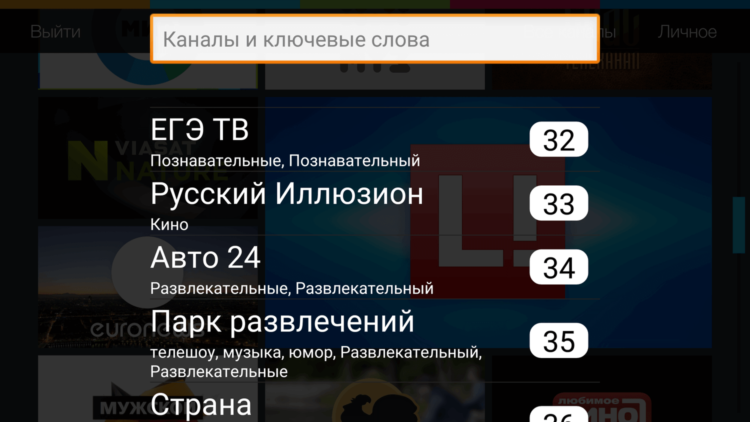 Спутниковое телевидение всегда с вами с Телекартой Онлайн. Фото.