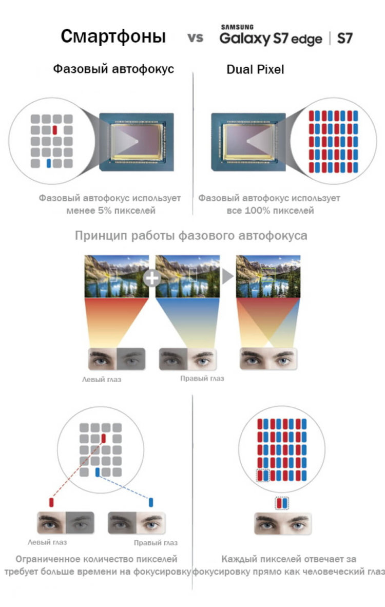 Что такое Dual Pixel и насколько хорош автофокус камеры Samsung Galaxy S7/S7 edge? Фото.