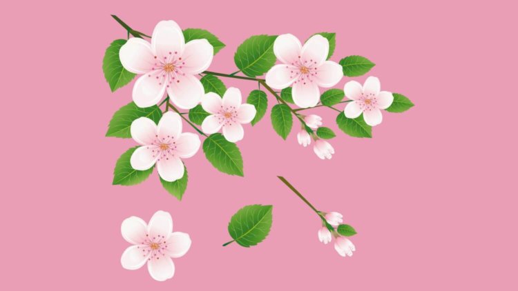 Цветочные пазлы создадут весеннее настроение. Цветочные пазлы создадут весеннее настроение. Фото.