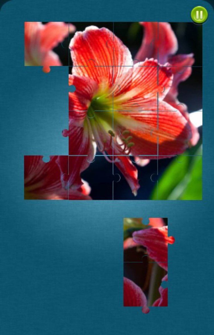 Цветочные пазлы создадут весеннее настроение. Цветочные пазлы создадут весеннее настроение. Фото.