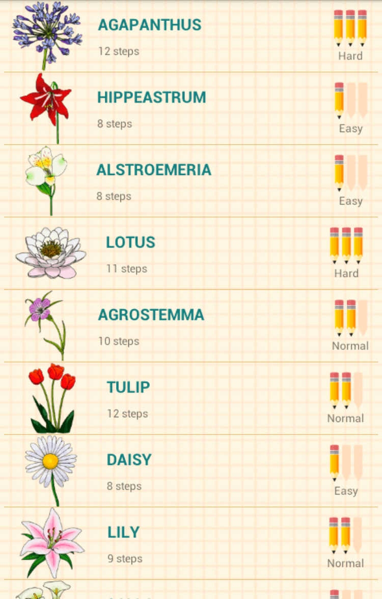 Как рисовать цветы? Пошаговые инструкции для начинающих. Как рисовать цветы? Пошаговые инструкции для начинающих. Фото.