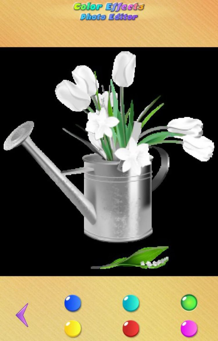 Как оставить на черно-белом фото лишь один яркий цвет? Фото.