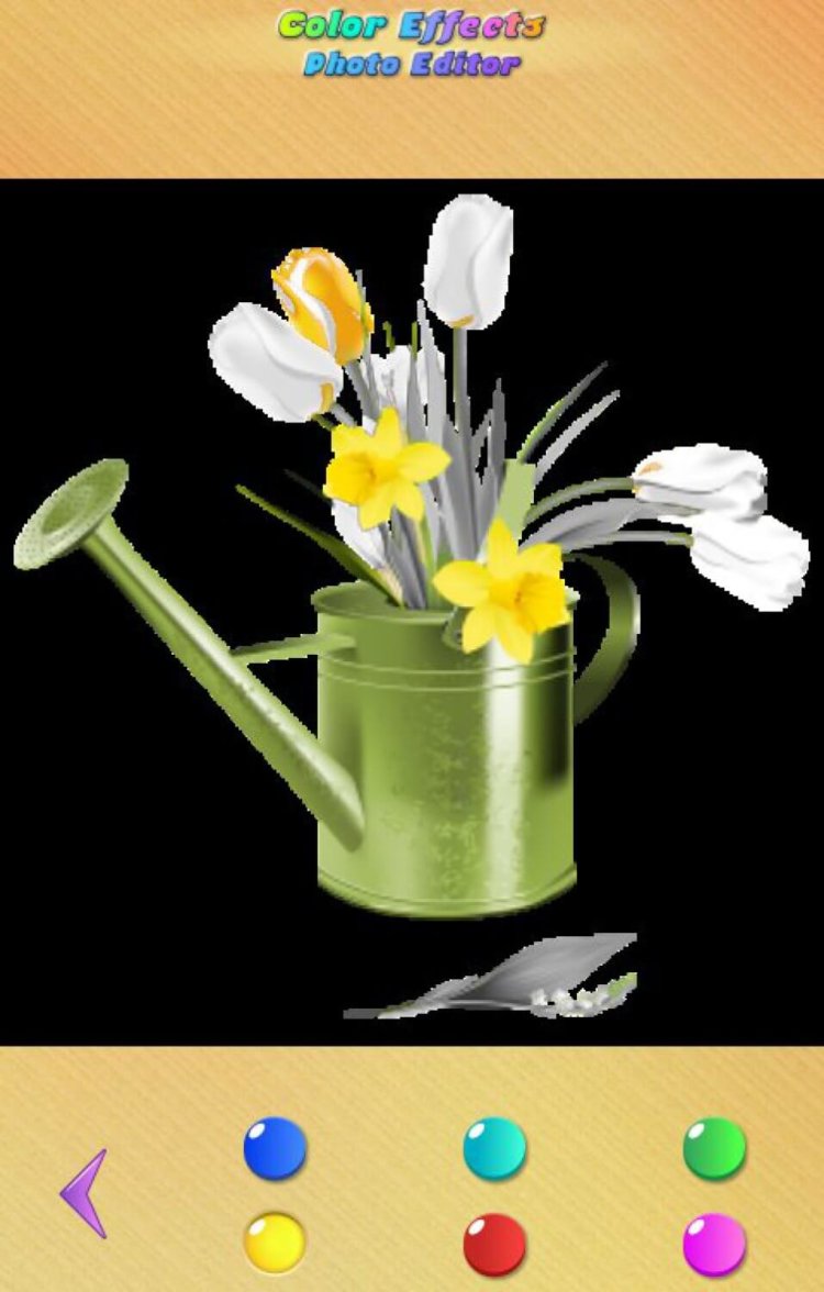 Как оставить на черно-белом фото лишь один яркий цвет? Как оставить на черно-белом фото лишь один яркий цвет? Фото.