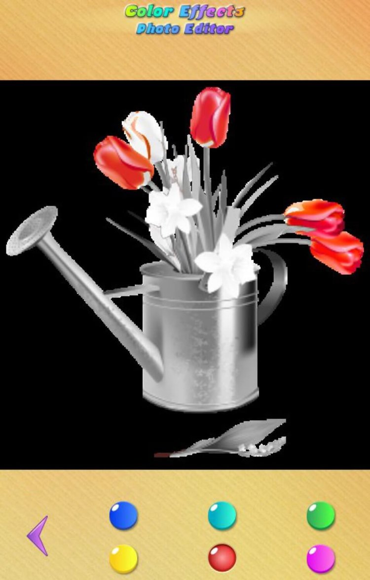 Как оставить на черно-белом фото лишь один яркий цвет? Фото.